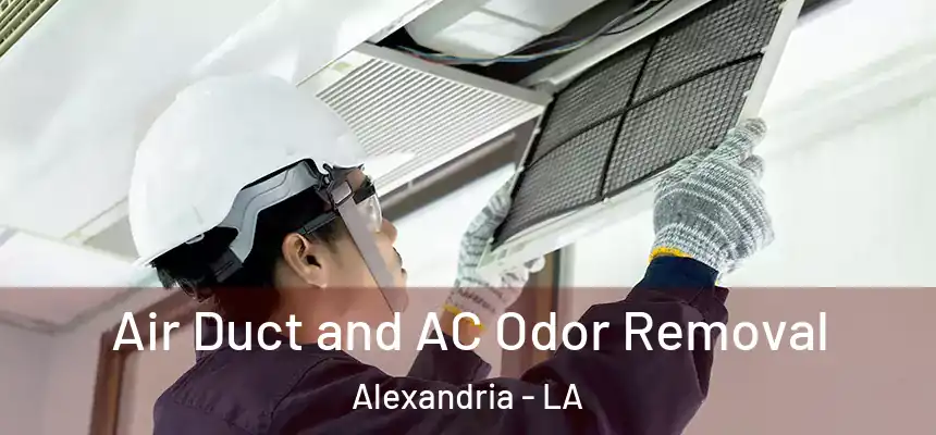  Air Duct and AC Odor Removal Alexandria - LA