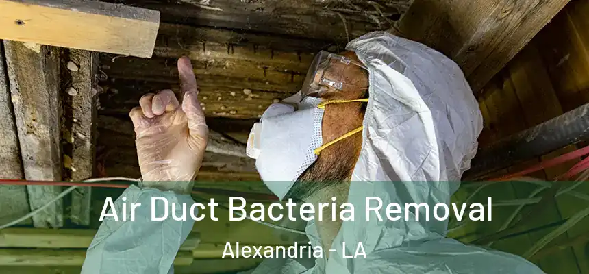  Air Duct Bacteria Removal Alexandria - LA