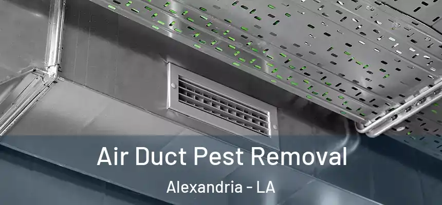 Air Duct Pest Removal Alexandria - LA