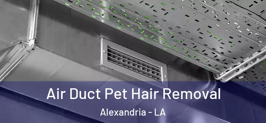 Air Duct Pet Hair Removal Alexandria - LA
