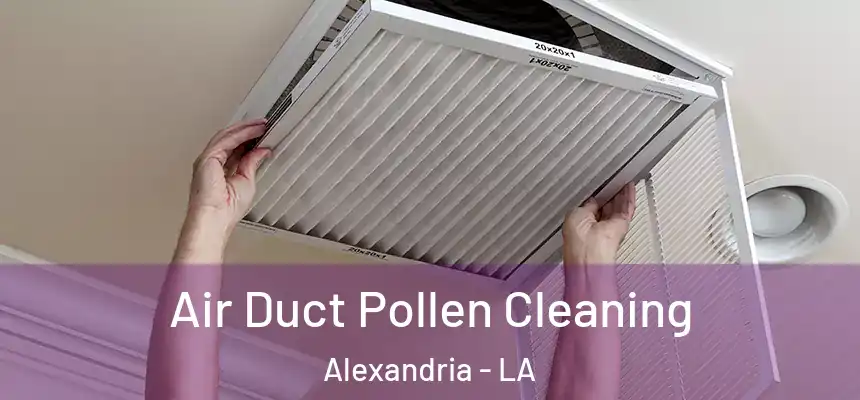 Air Duct Pollen Cleaning Alexandria - LA