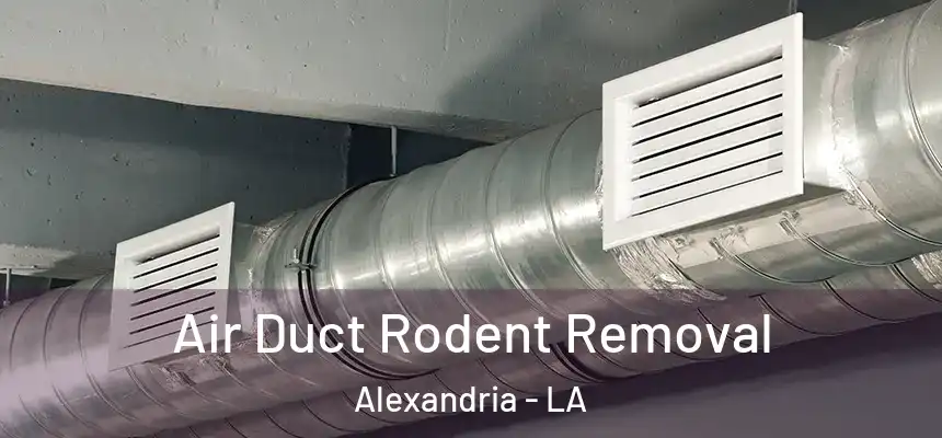 Air Duct Rodent Removal Alexandria - LA