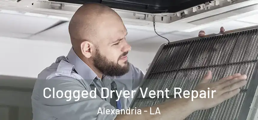 Clogged Dryer Vent Repair Alexandria - LA