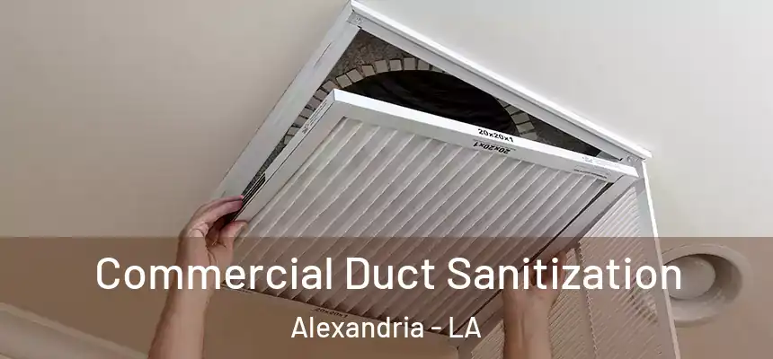 Commercial Duct Sanitization Alexandria - LA