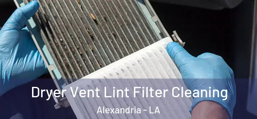 Dryer Vent Lint Filter Cleaning Alexandria - LA