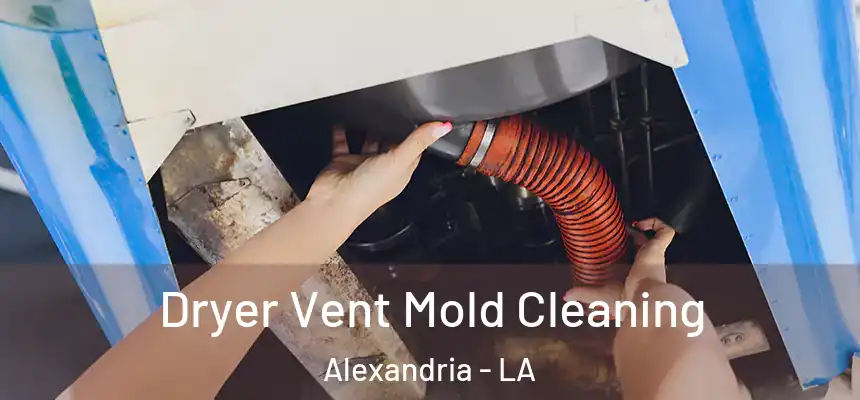  Dryer Vent Mold Cleaning Alexandria - LA
