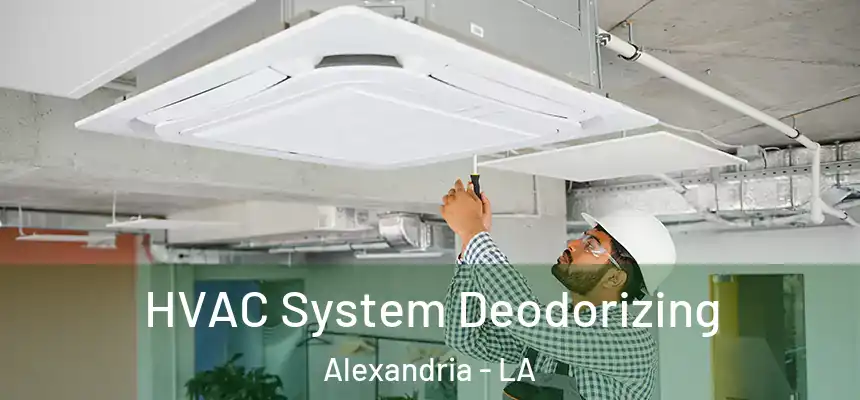  HVAC System Deodorizing Alexandria - LA