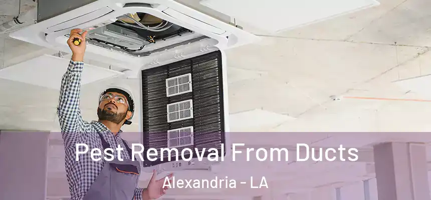  Pest Removal From Ducts Alexandria - LA