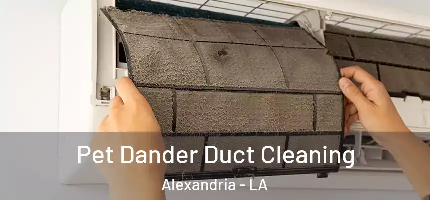 Pet Dander Duct Cleaning Alexandria - LA
