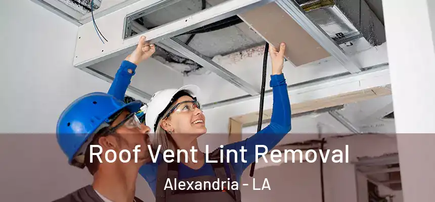 Roof Vent Lint Removal Alexandria - LA