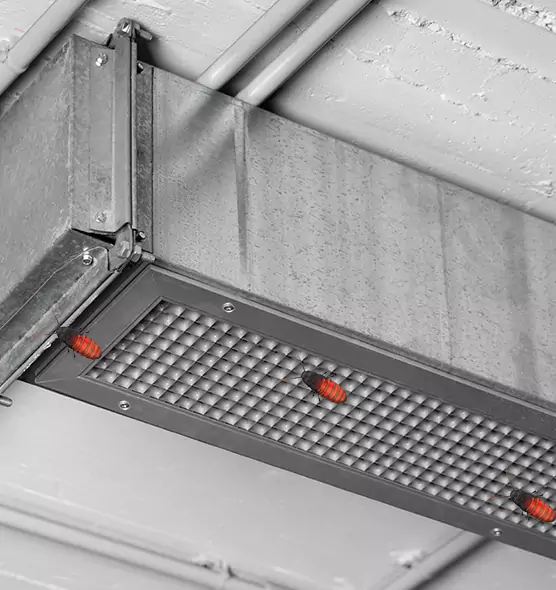 About Air Duct Cockroach Removal in Alexandria, LA