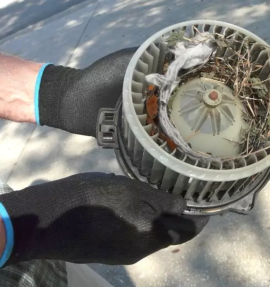 About Air Duct Mice Removal in Alexandria, LA