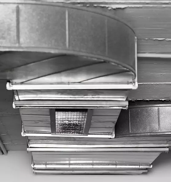 Professional Air Duct Pet Hair Removal in Alexandria, LA