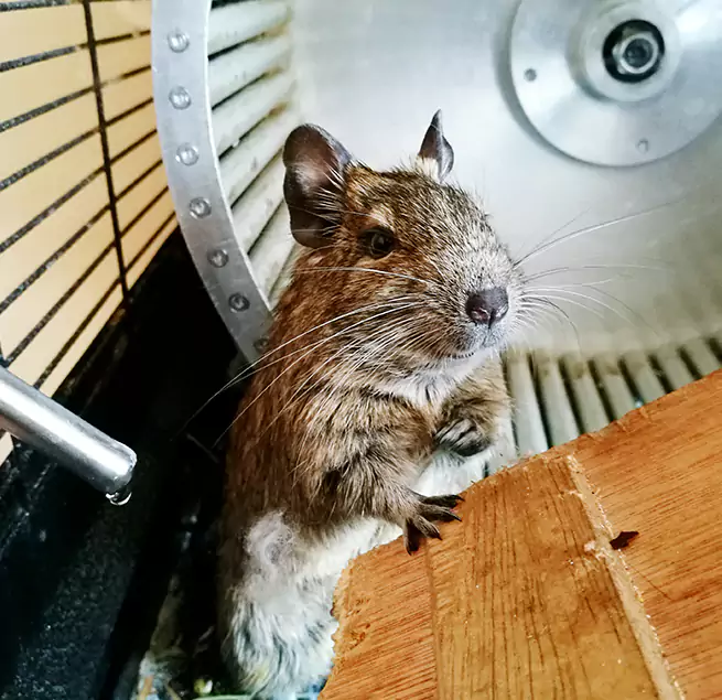 Why Homeowners & Businesses Trust Us Alexandria, LA