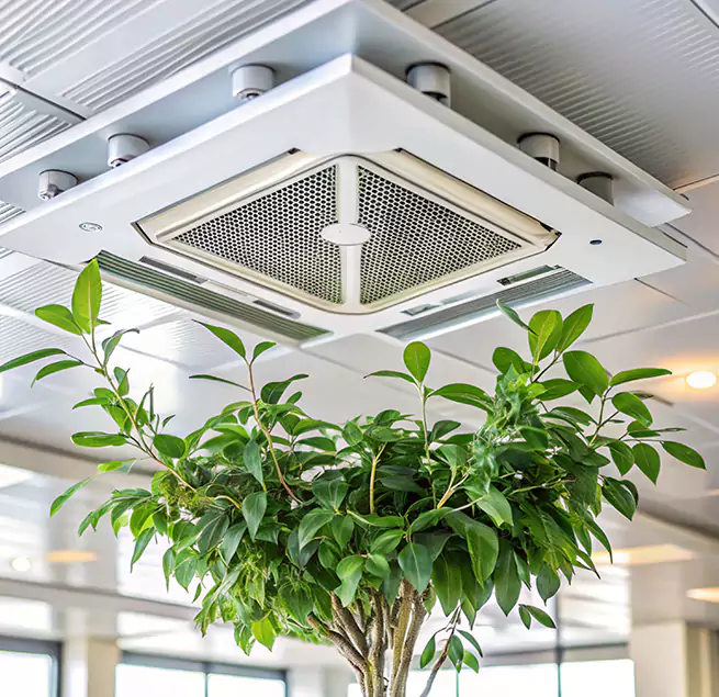 Why Homeowners & Businesses Trust Us in Alexandria, LA