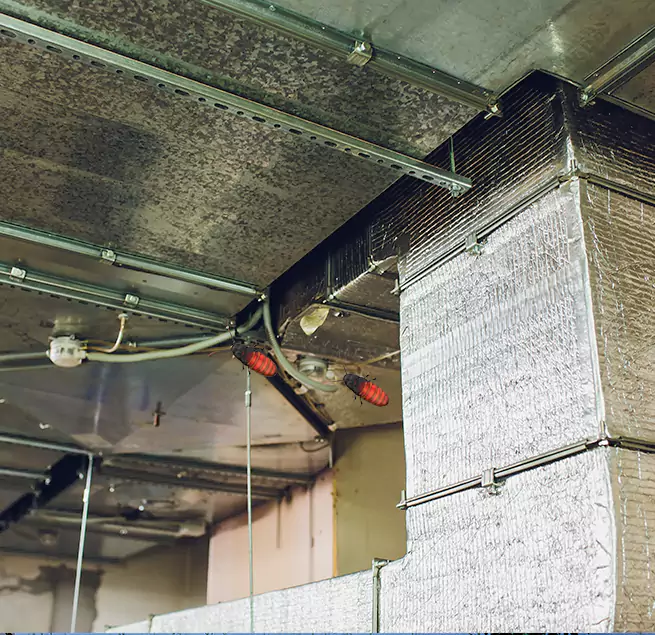 Why Homeowners & Businesses Trust Us Alexandria, LA?